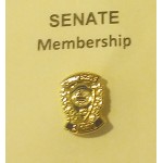 JCI Membership Pin